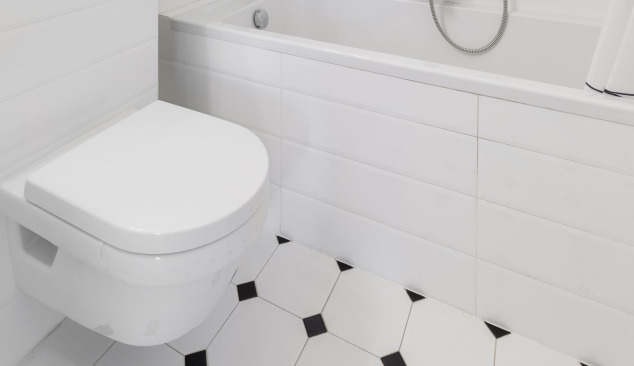 Inodoro colgante o de pie