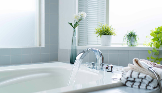 ¿A qué prestar atención al comprar una bañera?