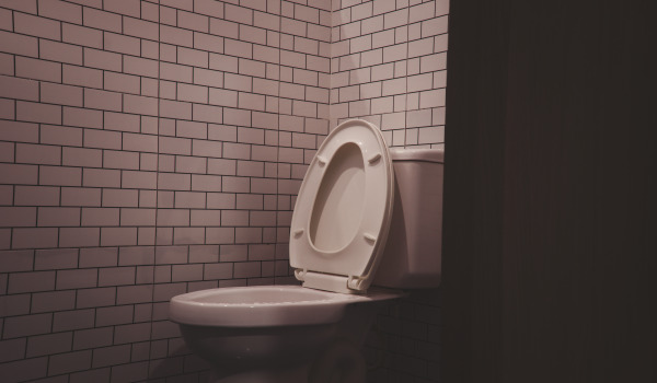 ¿Cómo comprar un buen asiento de inodoro?