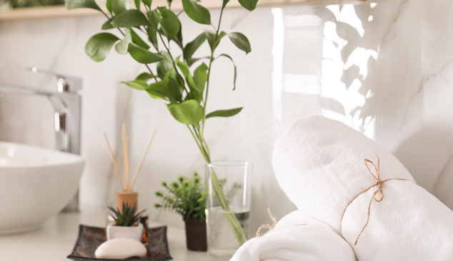 ¿Qué plantas se pueden colocar en el baño?