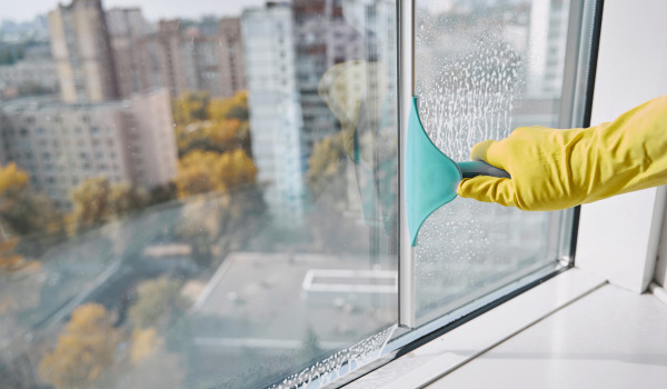 Ventajas de tener una escobilla para el baño