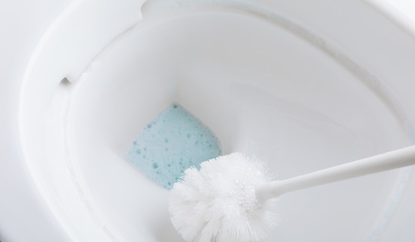 ¿Cómo cuidar el cepillo de WC?