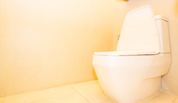 ¿Qué conjunto empotrado para WC elegir?