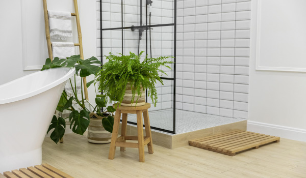 5 mejores flores para cultivar en el baño