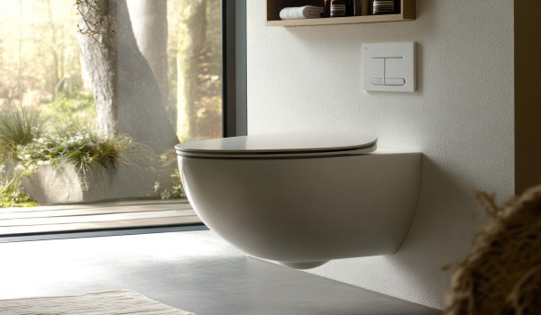 ¿Taza de WC con o sin borde?