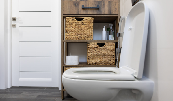 Inodoro con borde o sin él?