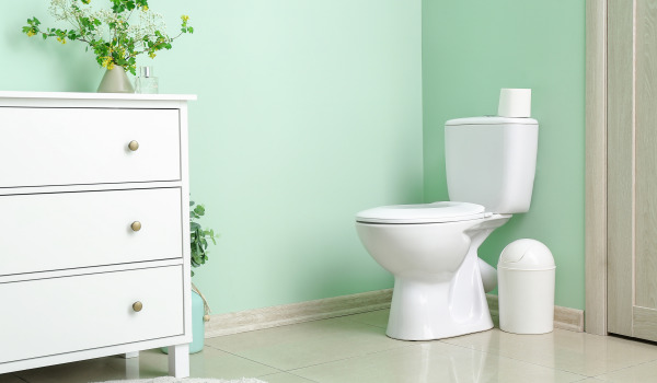 ¿Inodoro con revestimiento protector o no?