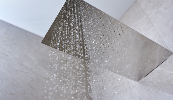 ¿Qué rociador de ducha elegir?