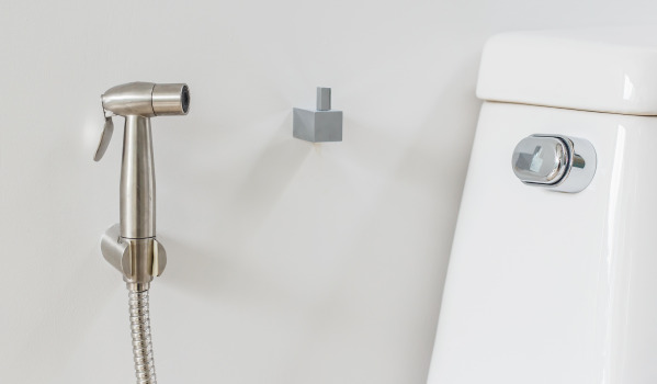 Cómo elegir una ducha bidet?